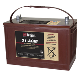 Trojan Group 31 AGM Battery Free Delivery to many locations in the Northeast.