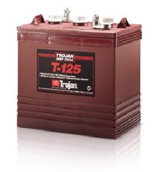 Trojan T-125 Duffy & ElectraCraft  Electric Boat Battery free delivery to most locations in the lower 48 States*.